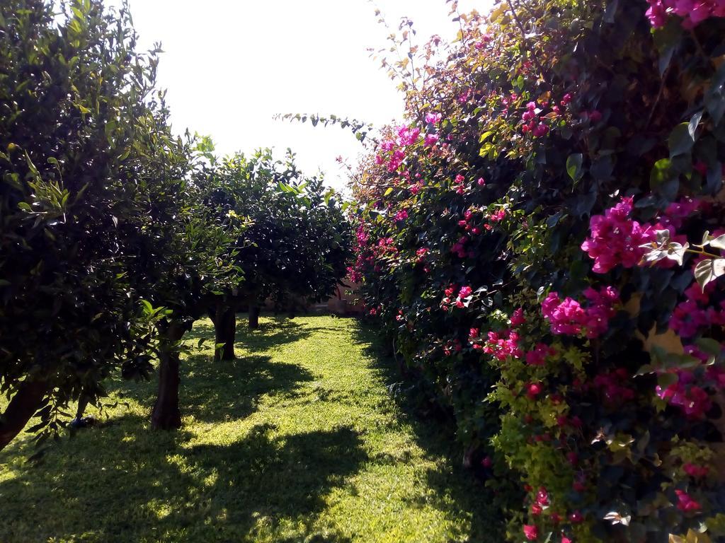 Bed and Breakfast Baglio Olivastro Digerbato Экстерьер фото